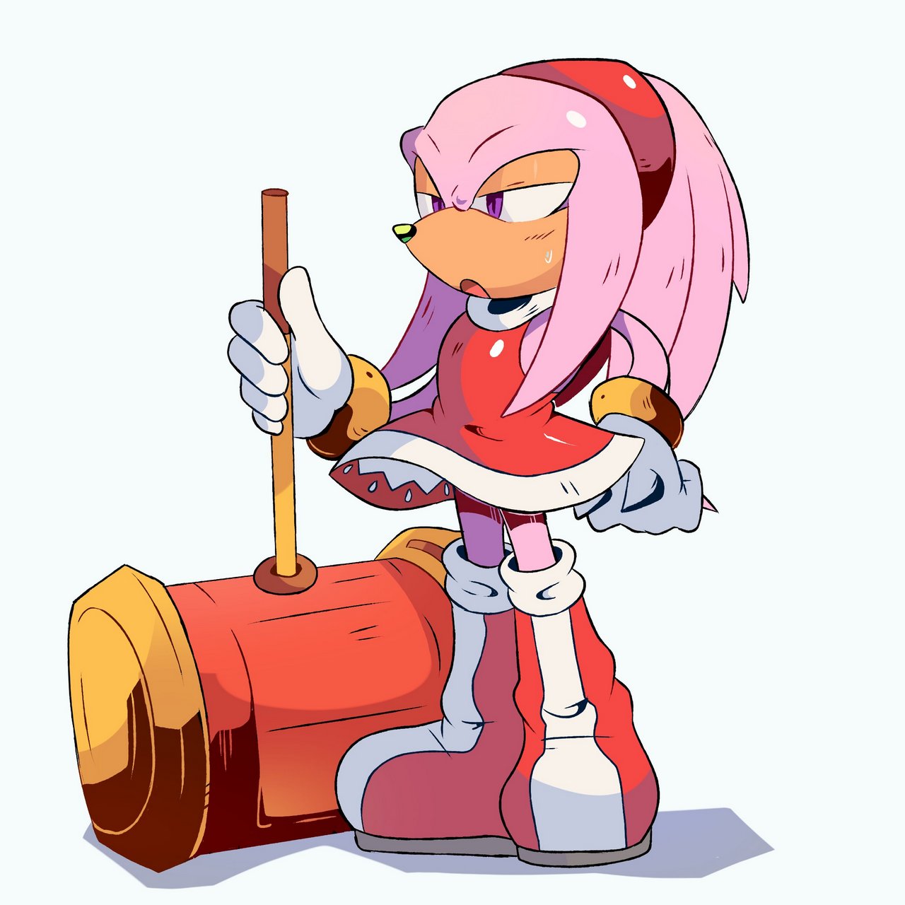 Amy Rose Knuckles The Echidna By Spinstella