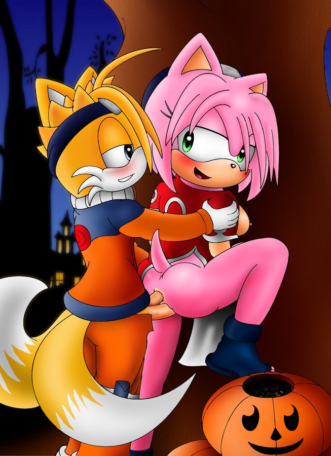 Amy Rose Miles Prower By Bigdon199