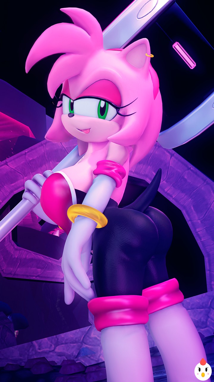 Amy Rose Rouge The Bat By Hentyp