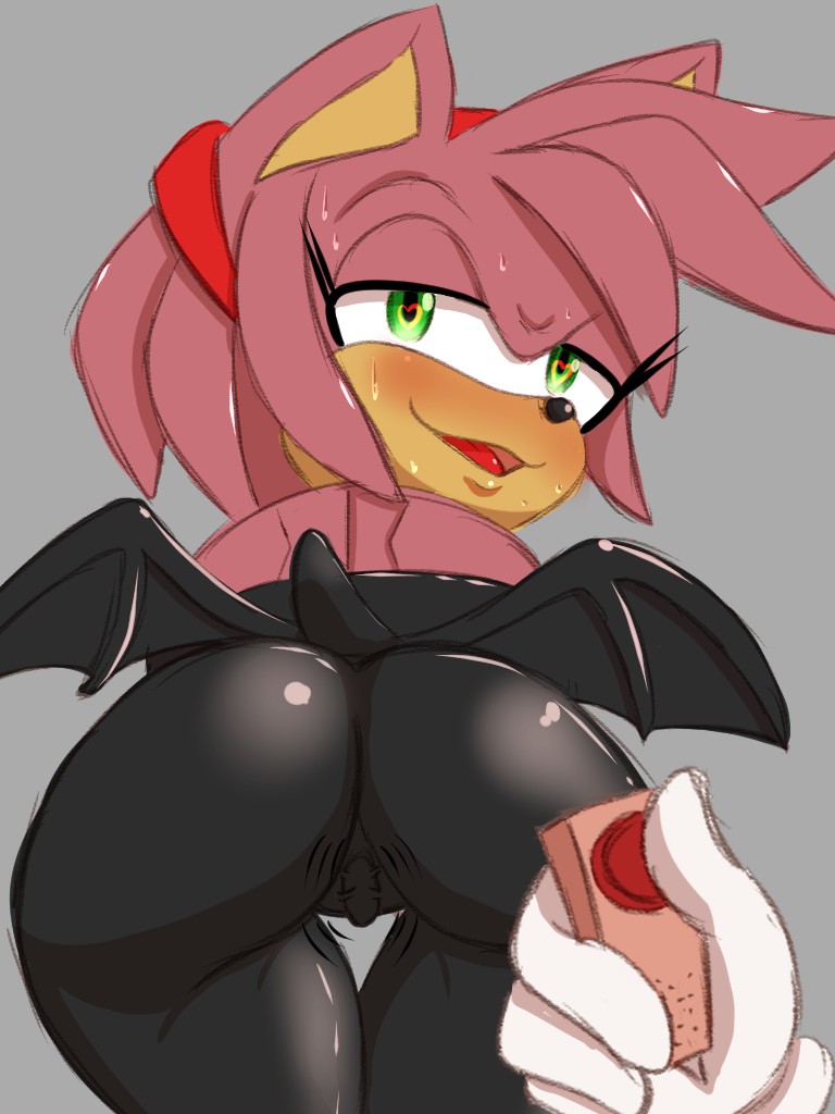Amy Rose Rouge The Bat Sonic The Hedgehog By Ryujisam