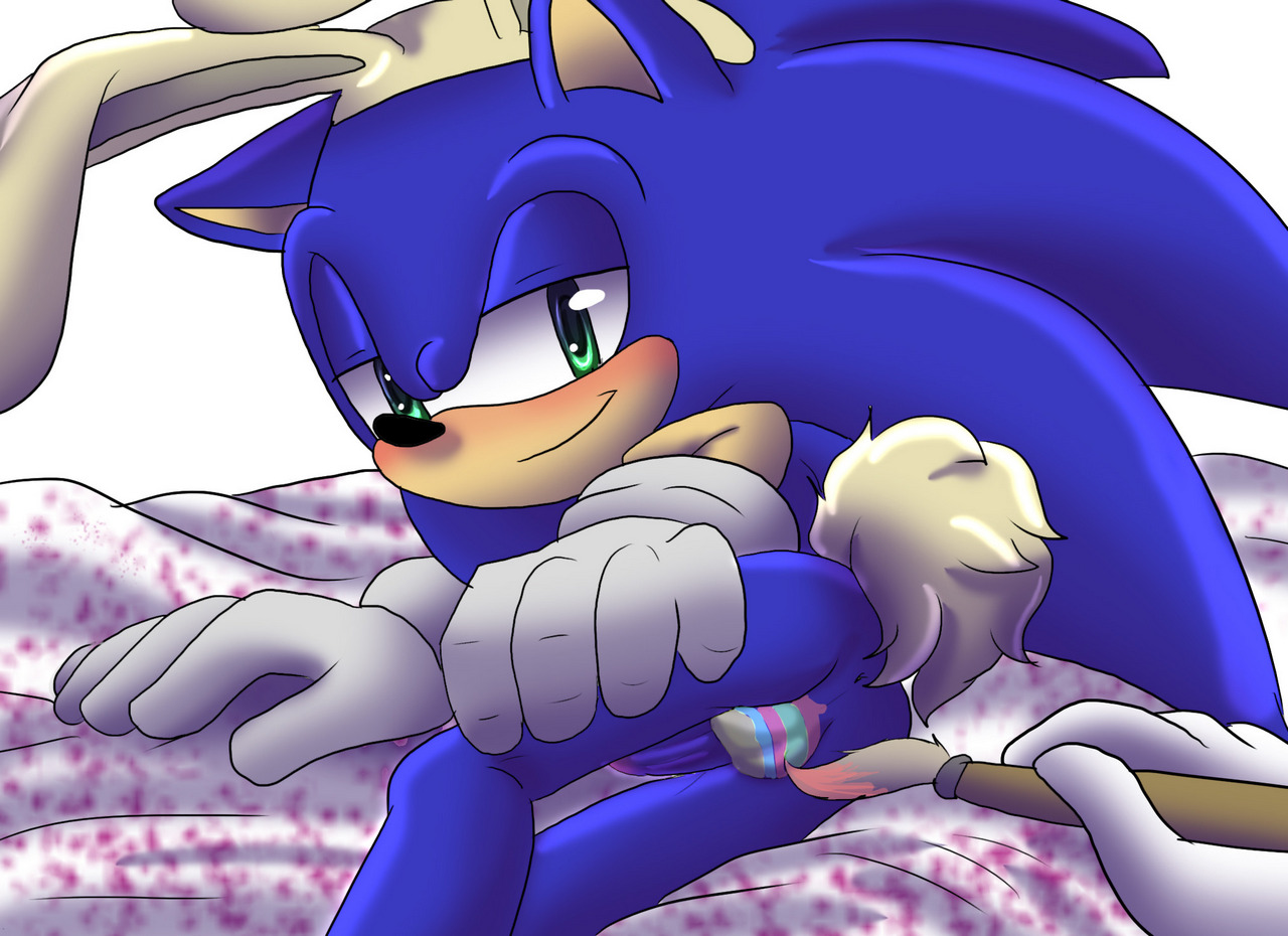Anon Sonic The Hedgehog By Angelofhapines