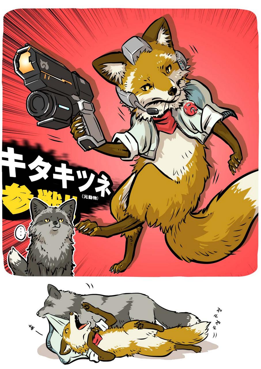 Fox Mccloud By Tao