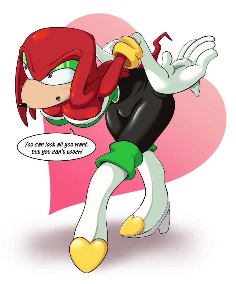 Knuckles The Echidna Rouge The Bat By Glazed Artis