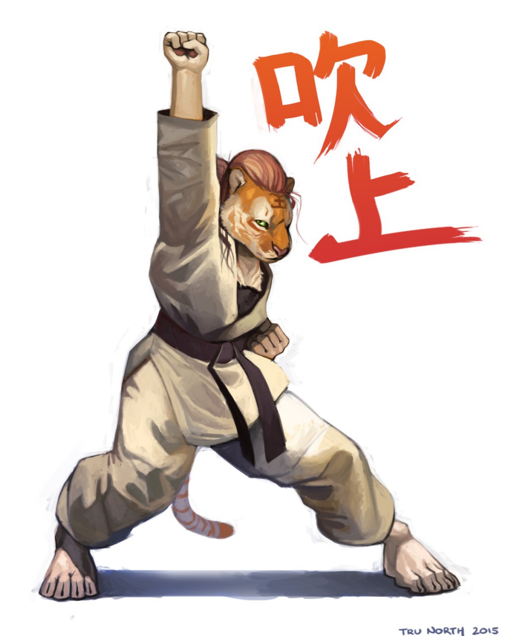 Makoto Street Fighter Mei Chengse By Trunort