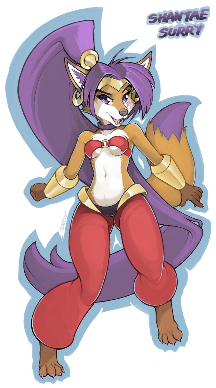 Shantae Surry Surryfox By Foxmod