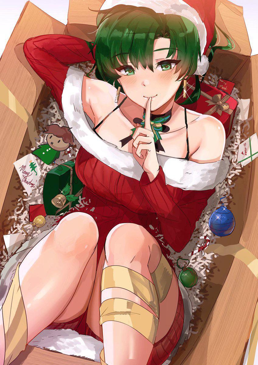 Lyn Fire Emblem As The Ultimate Christmas Present Thighdeolog