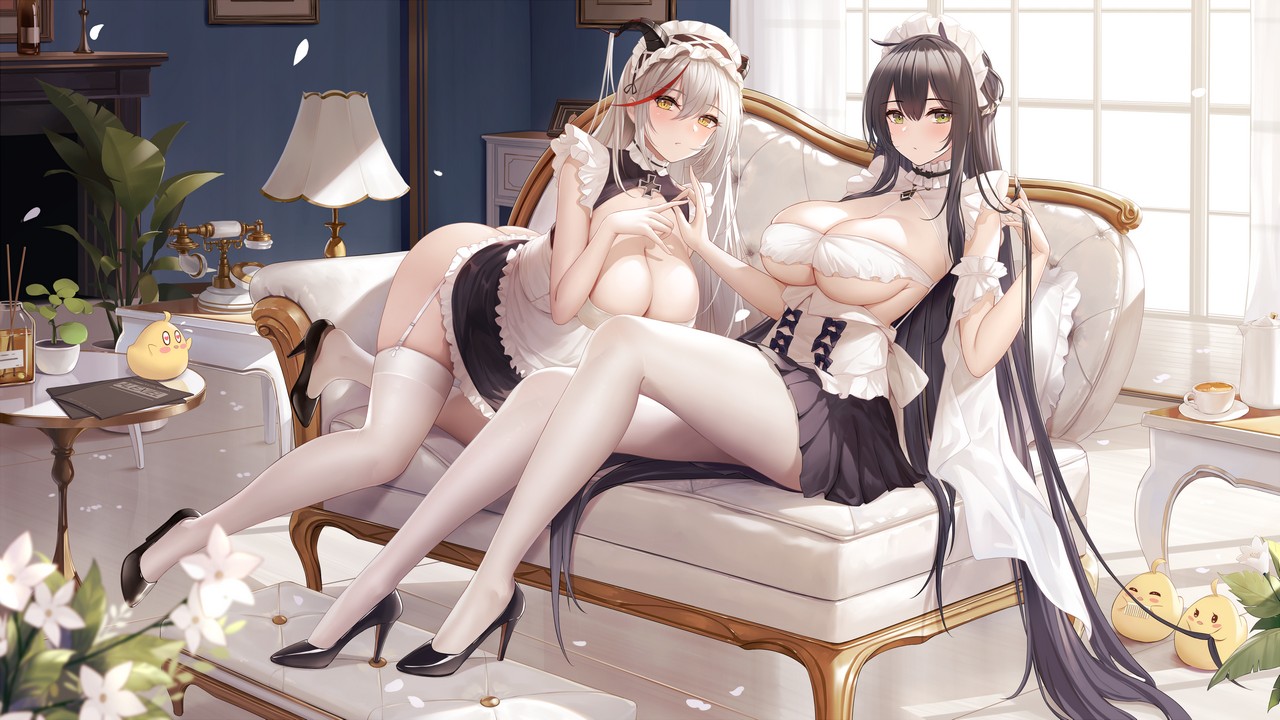 Maid Agir And Indomitable Thighdeolog